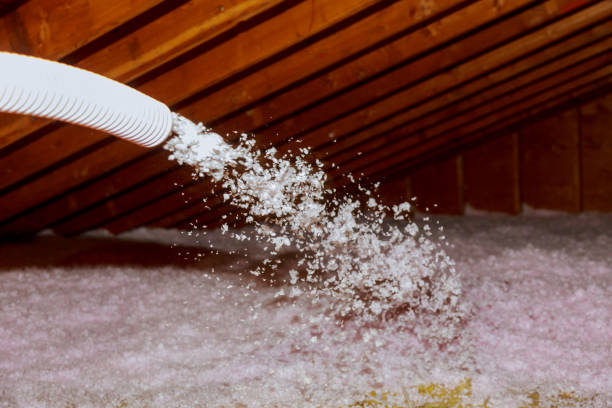 Best Energy-efficient Insulation  in Lakeland North, WA