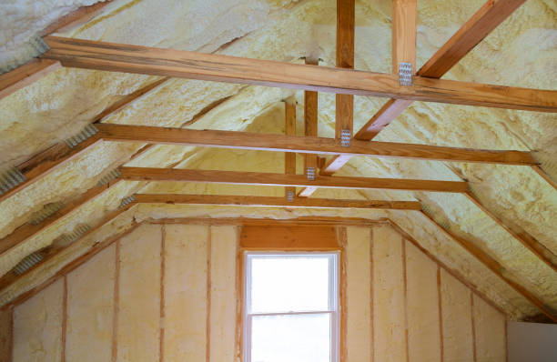 Best Insulation Removal  in Lakeland North, WA