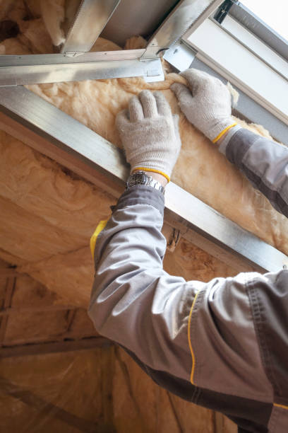 Best Insulation Contractors for Homes  in Lakeland North, WA